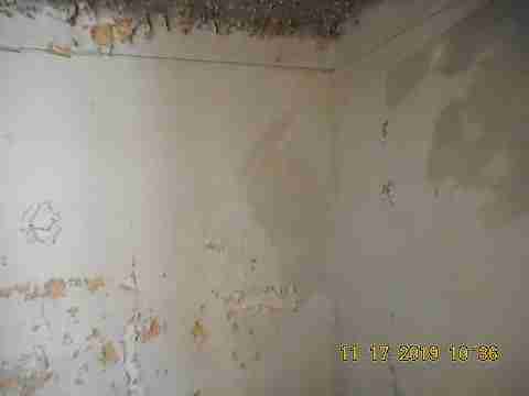 14302 Stout St (15)_m.jpg